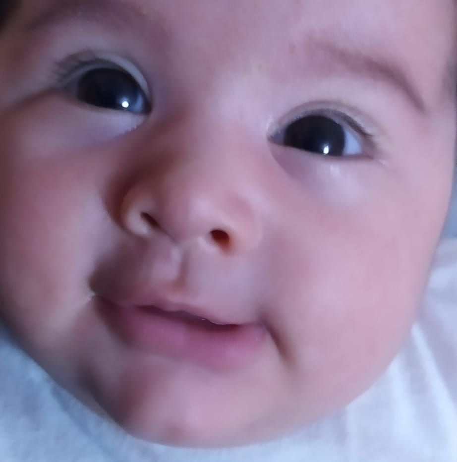 Viviana Marin